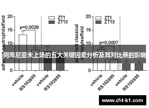 阿库尼亚未上场的五大关键因素分析及其对比赛的影响 阿库尼亚未上场的五大关键因素分析及其对比赛的影响