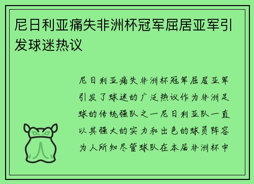 尼日利亚痛失非洲杯冠军屈居亚军引发球迷热议
