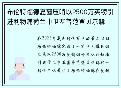 布伦特福德夏窗压哨以2500万英镑引进利物浦荷兰中卫塞普范登贝尔赫 布伦特福德夏窗压哨以2500万英镑引进利物浦荷兰中卫塞普范登贝尔赫
